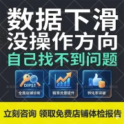电商店铺运营遇到数据下滑和找不到问题怎么办？善海科技为您提供深度店铺体检，通过全面店铺诊断与精准流量提升服务，为您突破转化率瓶颈，领取免费店铺诊断报告。